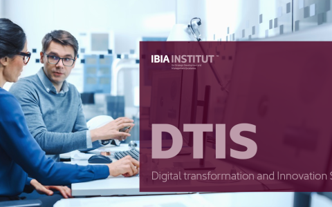 Digital Transformation and Innovation Strategy